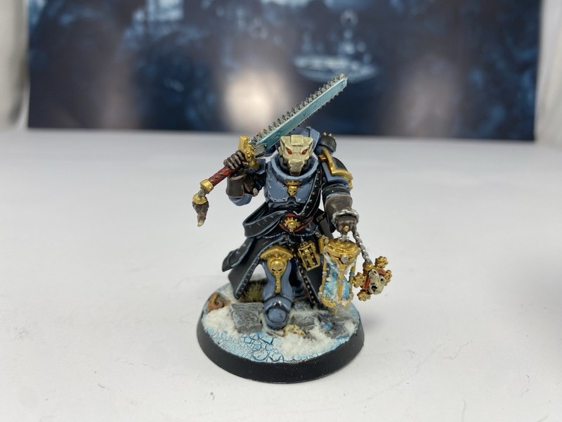 Warhammer 40k Space Marines Primaris Judiciar Built & Well Painted GW SW Wolves