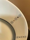 Philippe Deshoulieres Baltik Grey Salad Plate.  NEW. — photo 3