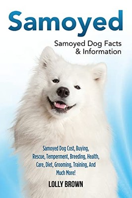 Samoyed Samoyed Dog Cost Buyin - GOOD