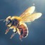 busybeehere
