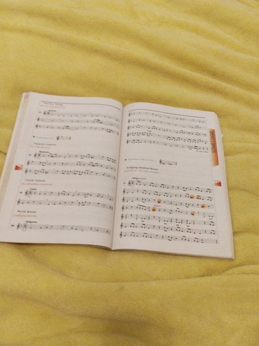 Trio Libro Verde Carlo Delfrati - Foto 5 di 6