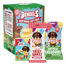 Denzel's Dog Treats Mini Birthday Gift Box - Birthday Cake Chews with Peanut