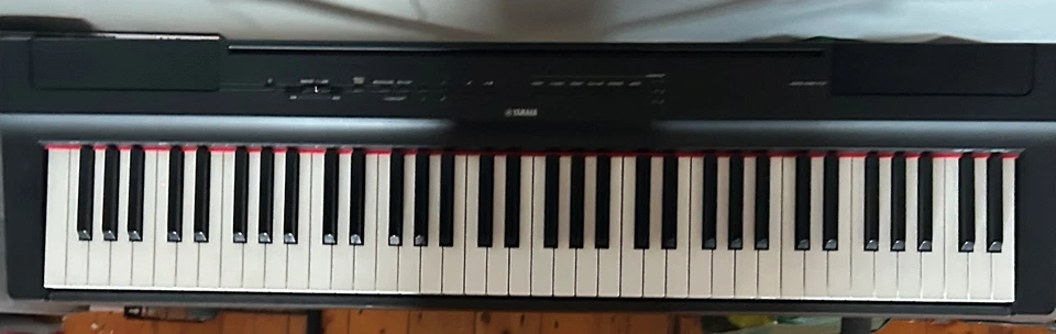 Yamaha p121 Digital Piano & Yamaha SC-KB750 Softcase & Alesis Pedal, accessories, photo 2 of 4