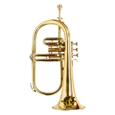 SOUND SAGA  Flugel Horn 3 Valve With All Accessories Including Mouthpiece & Case