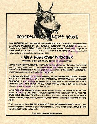 Rules In A Doberman Pinscher's House