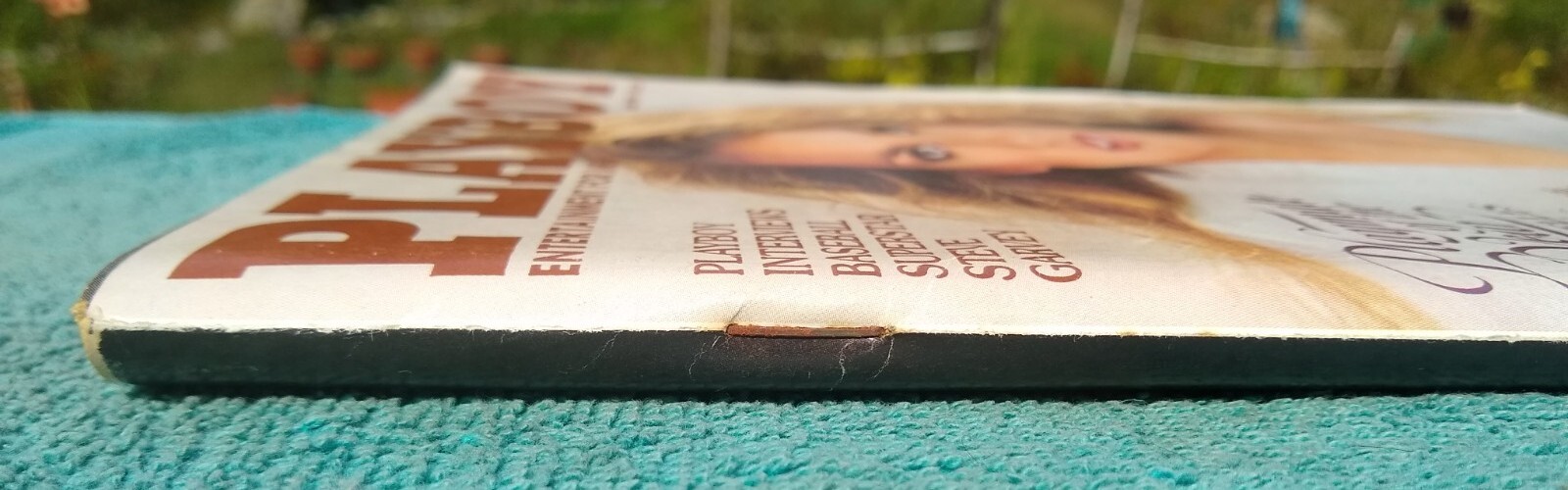 Vintage Playboy Magazine June 1981 Cathy Larmouth CF/ PMOY Terri Welles