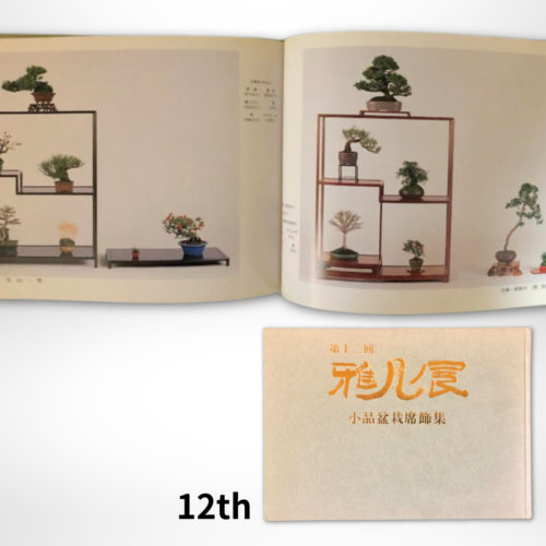 Gafu Ten Exhibition Shohin Bonsai Sekikazari Collection 12th Japan Tree Art Book - 第 1/4 張圖片