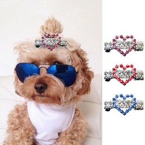 dog and cat accessories