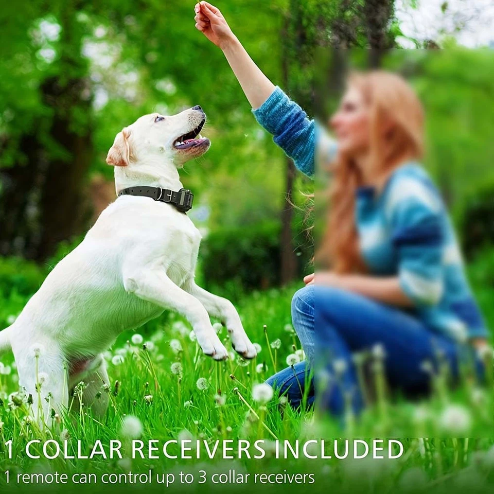 Advanced Remote Dog Training Collar with 4 Modes & 2600FT Range for Dog Training - Image 4 of 4