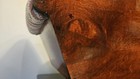 Bild 12 von 20