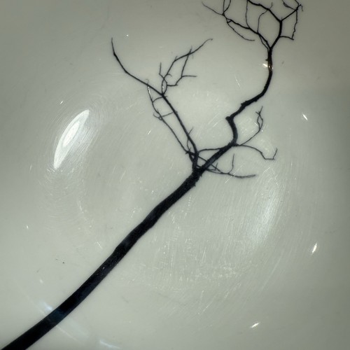 DIBBERN Black Forest Tree Fine Bone China Oatmeal Small Bowl 6.25” Germany - Picture 10 of 22