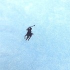 Foto 3 di 12