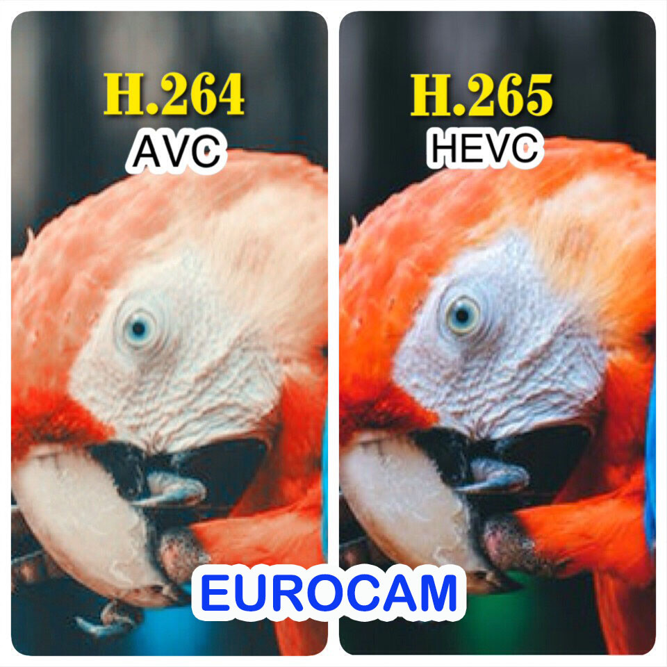Immagine 5 - TELECAMERA POE IP H265+ VISIONE A COLORI BUIO ASSOLUTO FULL COLOR