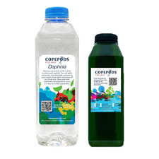 32oz Daphnia  16oz Phyto   Fresh Food for Fish, Fry  Reptiles   Free Ship