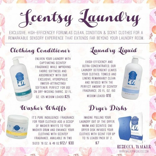 Scentsy LAUNDRY Washer Whiffs Liquid Detergent, Dryer Disks FRESH fabric spray - Picture 14 of 126