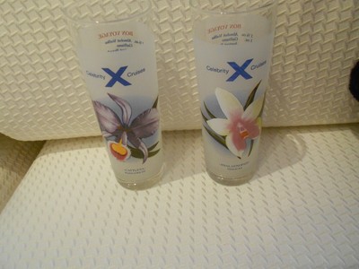 TWO CELEBRITY X CRUISES FROSTED GLASSES-CATTLEYA & PHALAENOPSIS-EXCELLENT