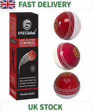 Incrediball Soft Practice Cricket Ball | Outdoor & Indoor Rubber Cricket Ball wi