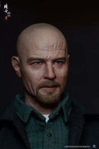 Nuevo Zgjktoys Jk-003 1/6 Breaking Bads The White 12" Figura de Acción Juguete Regalo en Caja - Imagen 4 de 11