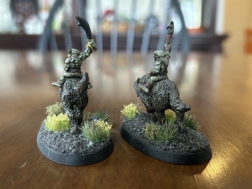 Miniatura pintada de huesos segadores de mazmorras y dragones - Duende Wolfriders - Imagen 4 de 5