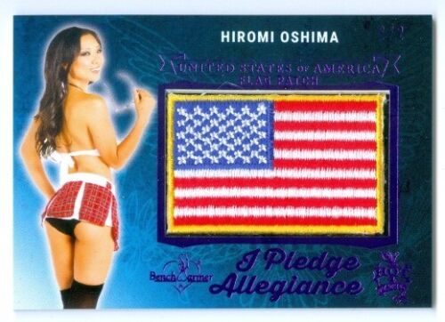 HIROMI OSHIMA "PLEDGE OF ALLEGIANCE FLAG #2/2" BENCHWARMER 25TH ANNIVERSARY - Picture 1 of 1