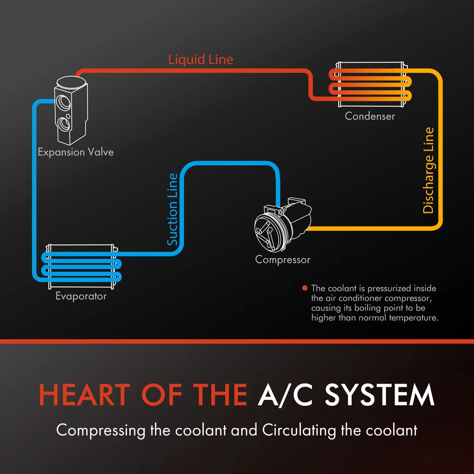 交流电压缩机带6槽适用于本田Passport 99-02五十铃Rodeo 99-04 3.2L 3.5L — 第 4/4 张图片