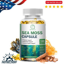 Organic Irish Sea Moss Capsules 2000mg With Bladderwrack Supplement 120Pcs