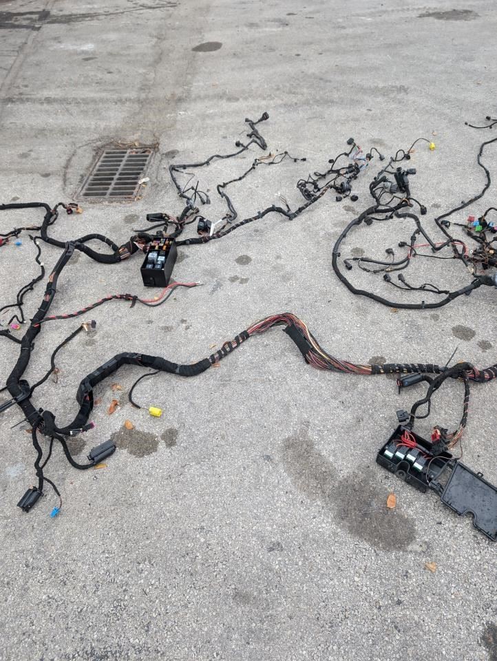 Body Wiring Harness (For Pigtails) 2005 Bentley Continental GT 03-10 For Parts X