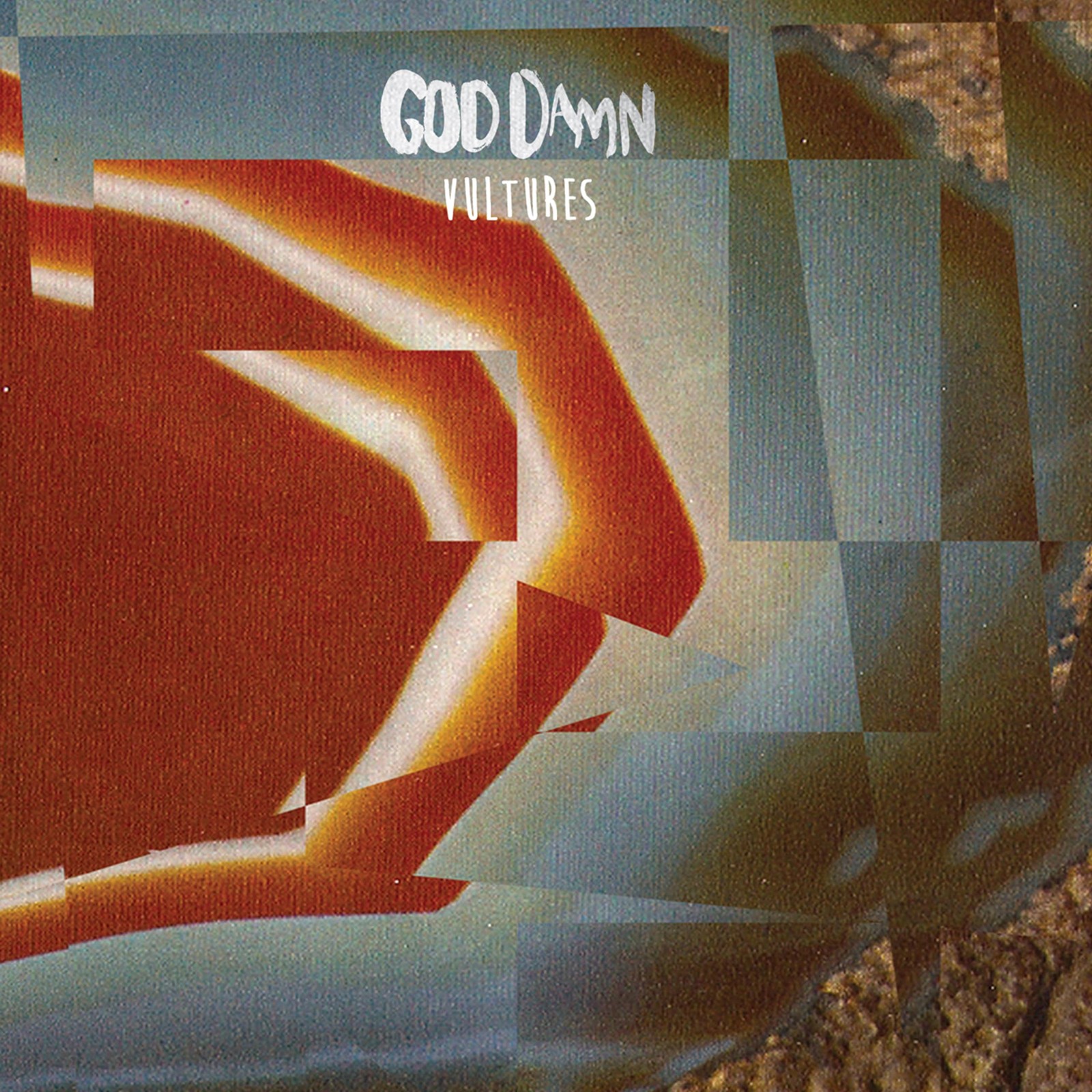 God Damn Vultures LP Vinyl TPLP1237 NEW