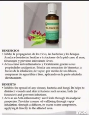 Tea Tree  Oil Essential Oil 100% Pure & Natural Oil