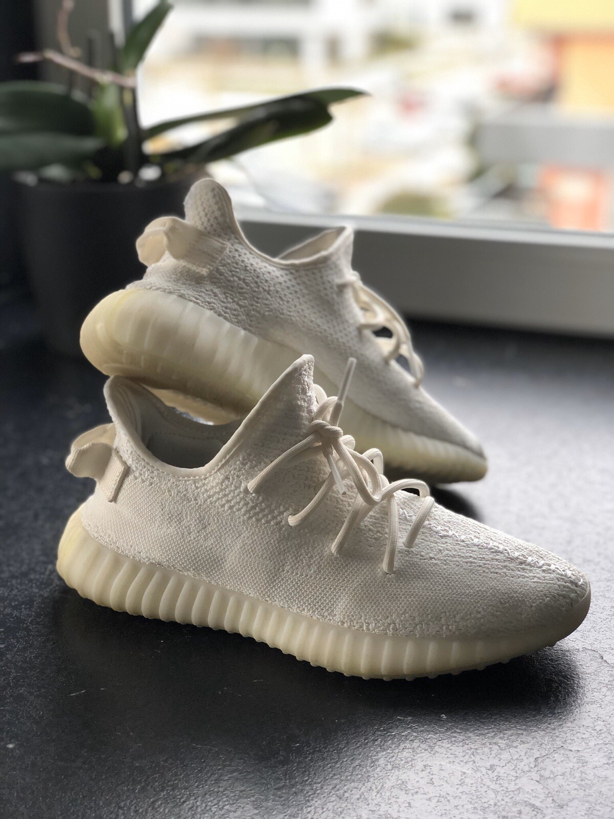 yeezy boost 350 v2 weiss