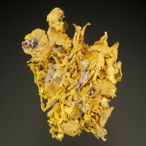 Gold, Ibex/Little Jonny Mine, Leadville, Colorado, 0.23 ozt, 1010-0025 - Picture 1 of 1