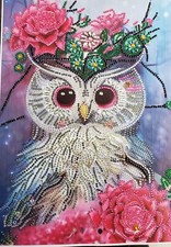 Completed diamond art colorful owl.