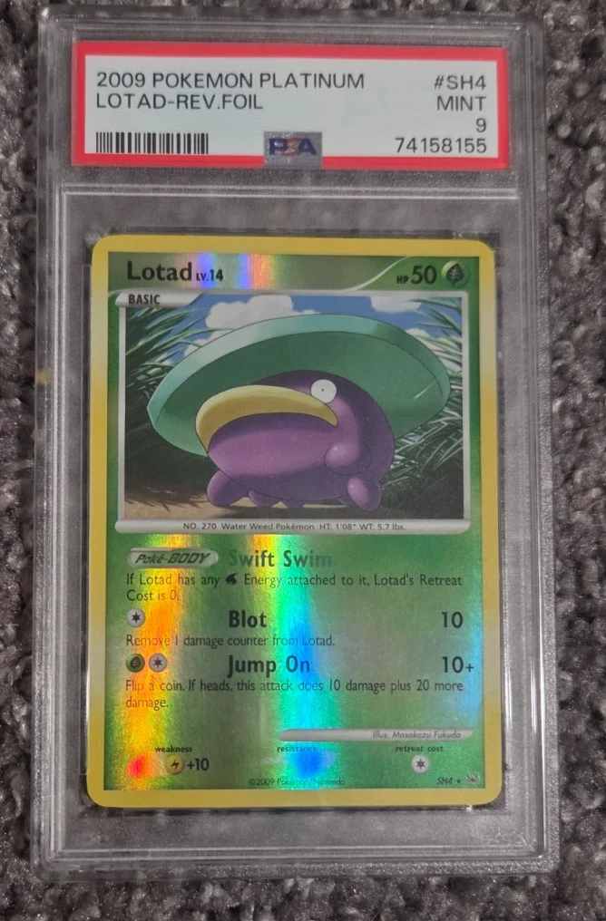 Lotad