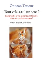 Tout Cela A-T-Il Un Sens ? | Opticon Tessour | Taschenbuch | FranzöSisch | 2022