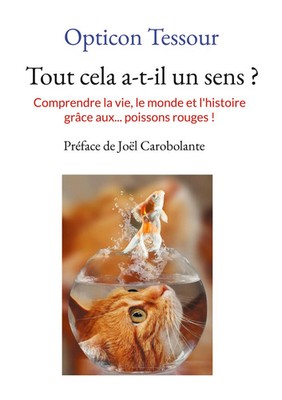Tout cela a-t-il un sens ? | Opticon Tessour | Taschenbuch | Französisch | 2022