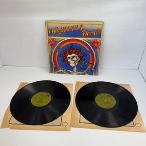 Grateful Dead Skull & Roses | eBay