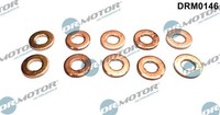 WäRmeschutzscheibe, Einspritzanlage Dr.Motor Automotive DRM0146 FüR BMW Ford