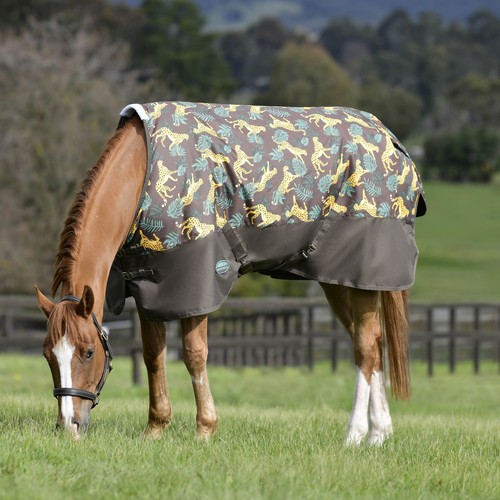 Weatherbeeta Comfitec Tyro Standard Neck Medium Turnout Rug - Picture 7 of 22