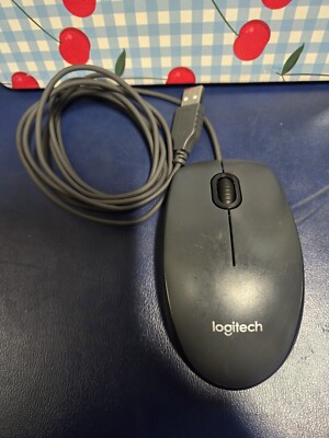 Logitech M-100 Gray Mouse (M-U0026)