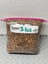 5 LB New Mexico Piñon, Pinon Pine Nuts, Flavorful, Soft Shells😁😊😍