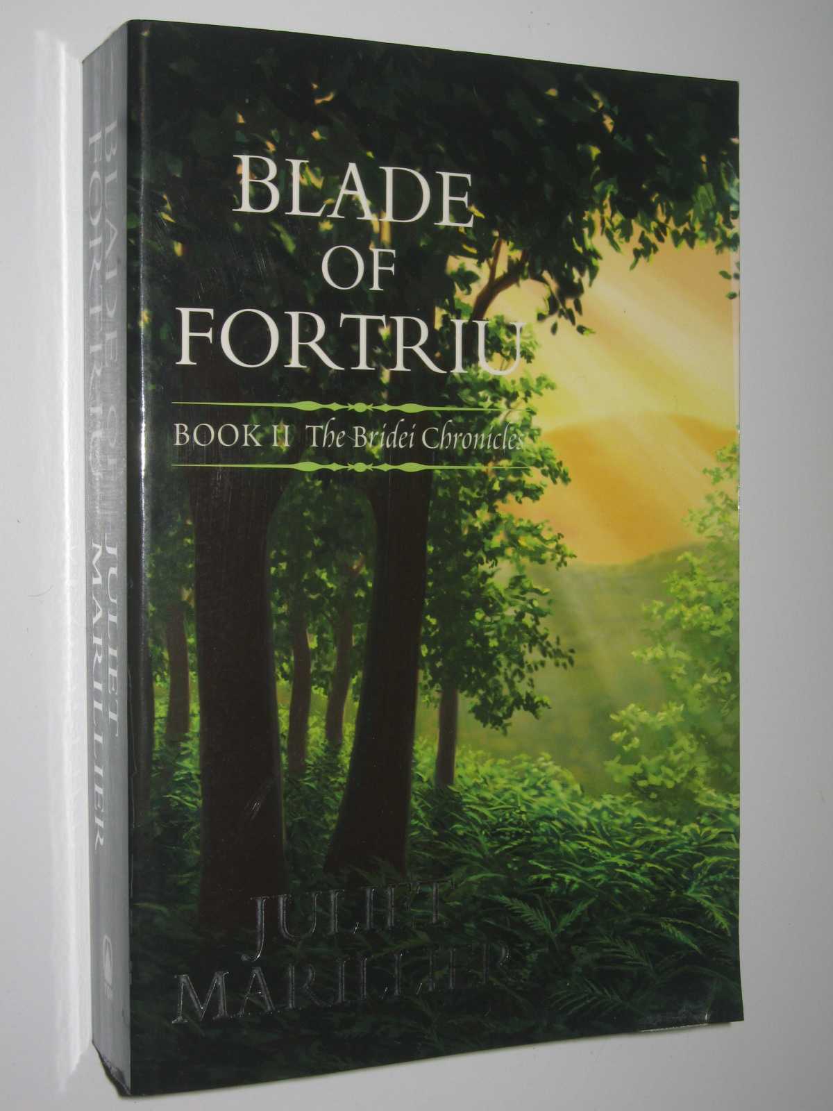 33+ Blade Of Fortriu (The Bridei Chronicles, #2) PNG