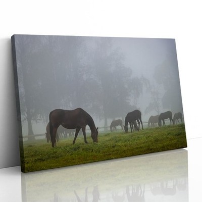 Pferdeherde im Herbst gerahmter Leinwanddruck Bild Wandbild