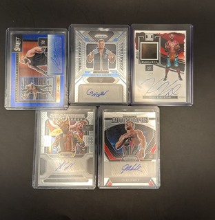 Panini WWE Select/Prizm/Impeccable 5er Numbered/Patch Auto LOT