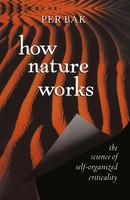 Per Bak | How Nature Works | Buch | Englisch (1996) | Xiii | Springer