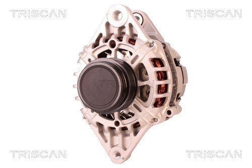 Triscan Lagerbuchse, Stabilisator 8500 69811 FüR Suzuki-image
