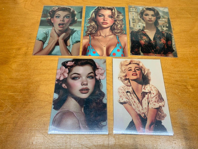FIVE (5) Pin-Up Art  Sexy Vintage Type Girls  MATTE Finish  APROX 6'' by 4''