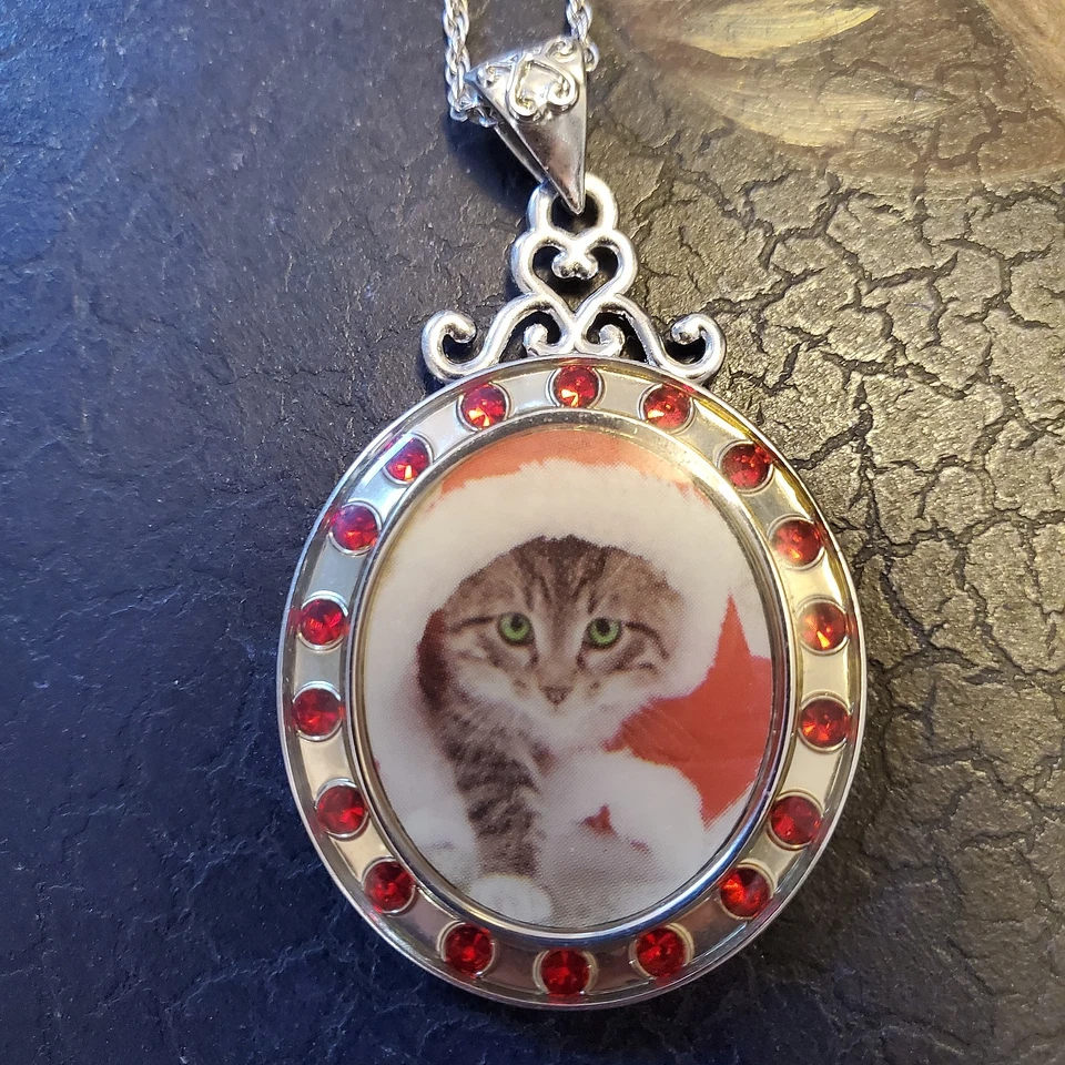 Collar colgante ovalado retrato de gato de plata de ley marco de circón rojo DICIEMBRE Foto 2 de 4