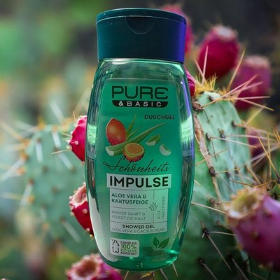 Pure Basic  Impulse Duschgel Aloe Vera &Kaktusfeige 250 ml