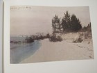 Picture 15 of 15