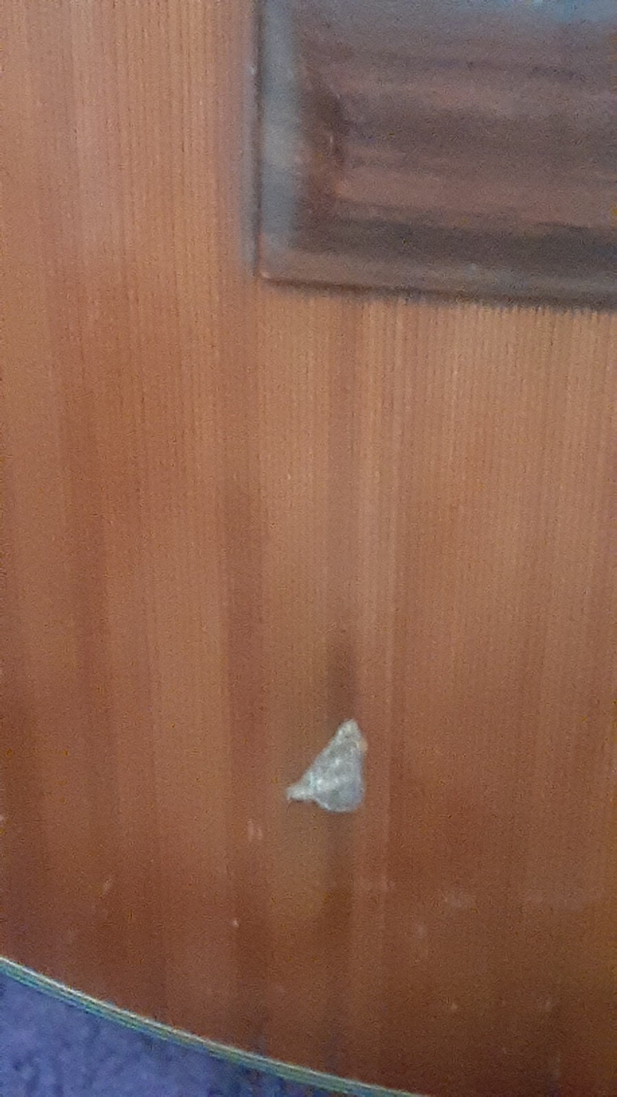 Washburn C80S classic acoustic guitar eBay